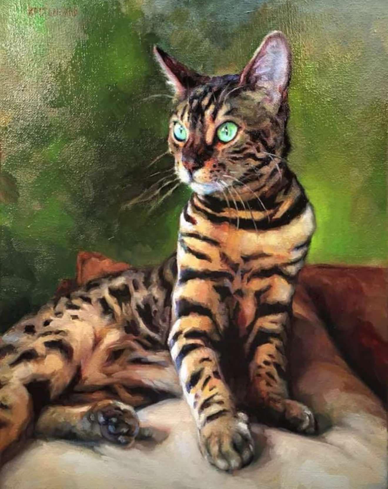 Bengal Boi